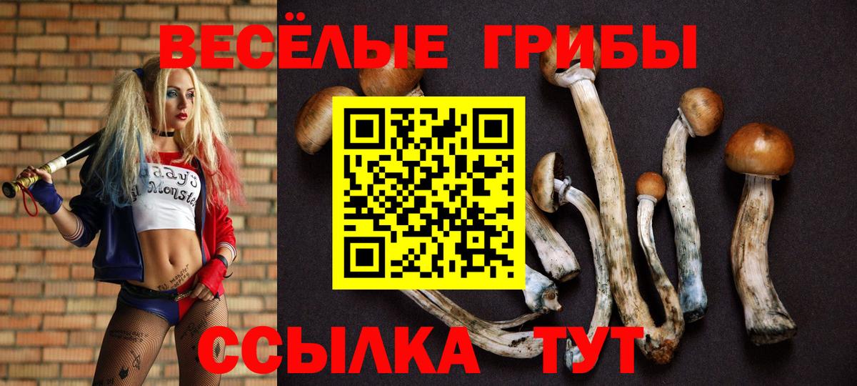 Галлюциногенные грибы MAGIC MUSHROOMS  Вход с VPN  Тихорецк 